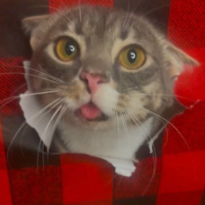 HyperOS3相册为何更省电流畅？