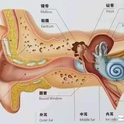 耳鸣听力下降缓解方法