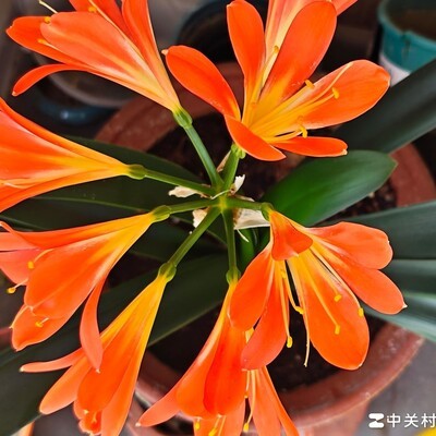 助听器适应小技巧