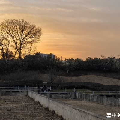 如何改善情侣争吵中的言语攻击