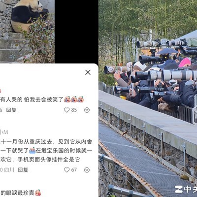 熊猫粉丝的经济实力