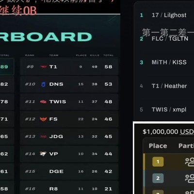 绝地求生比赛黑子现象