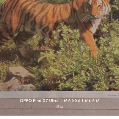 华南虎基因困境