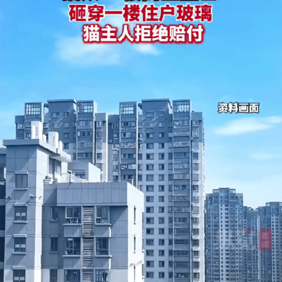 19楼小猫坠亡砸穿玻璃引争议