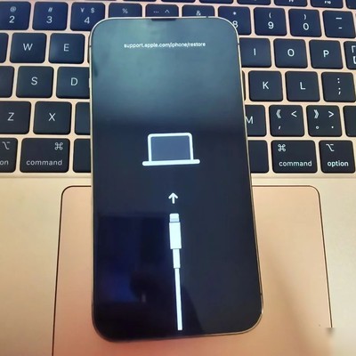 iPhone白苹果排线维修记