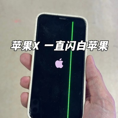 iPhone X白苹果故障修复