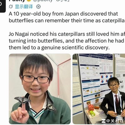蝴蝶记忆前世，男孩发现科学奥秘