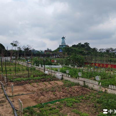 一线城市央企高薪工作水平