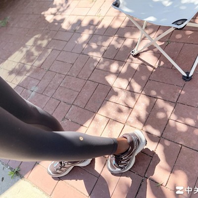 萨洛蒙，探索社会生活的多维镜像