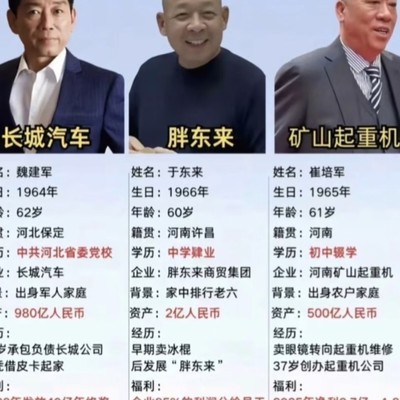 良心企业家，人民之光
