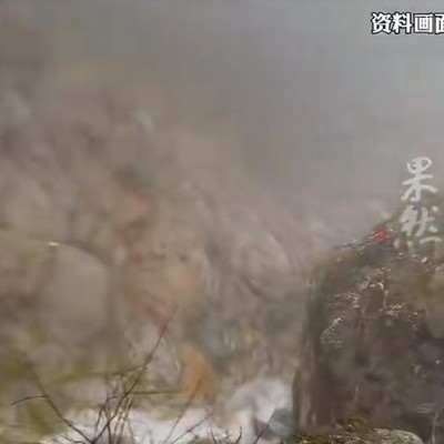 女子登冰川遇难事件