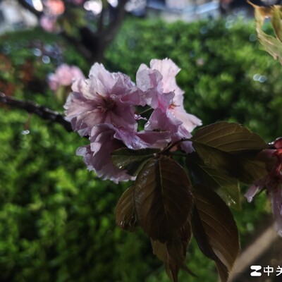 分手后的困惑与无奈
