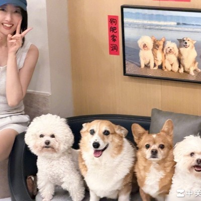 女生独居养猫还是养狗？