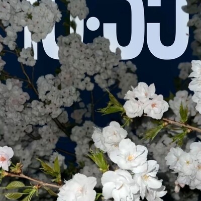 又可以进化了