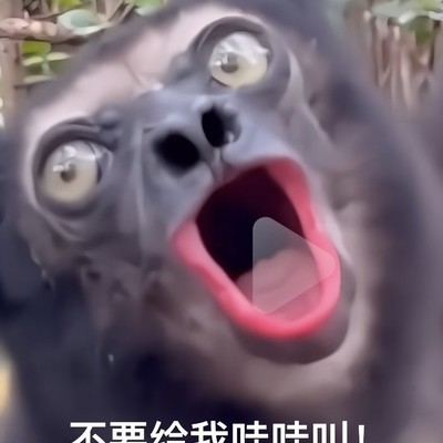 绝地求生，NH观点分享