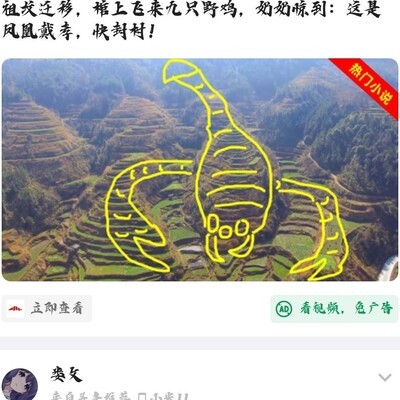 Mac更新后Flutter Web为何无法加载图片？