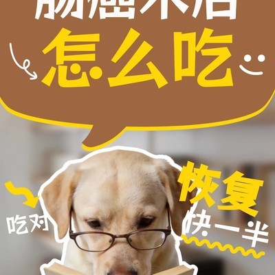 肠癌术后科学饮食指南