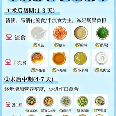 术后分阶段营养食谱