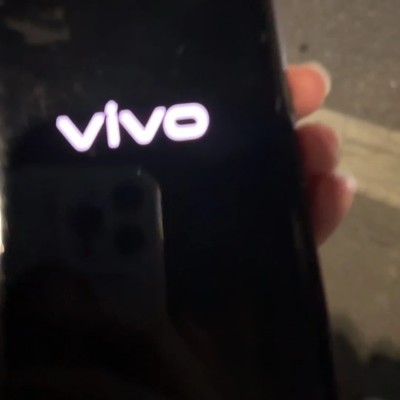 vivo X100频繁卡死重启