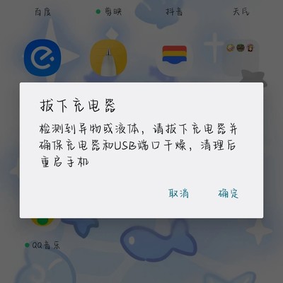 OPPO手机误报充电口异物