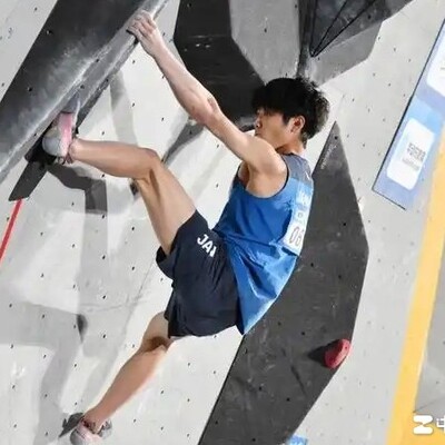 安乐宙斗与Alex实力对比