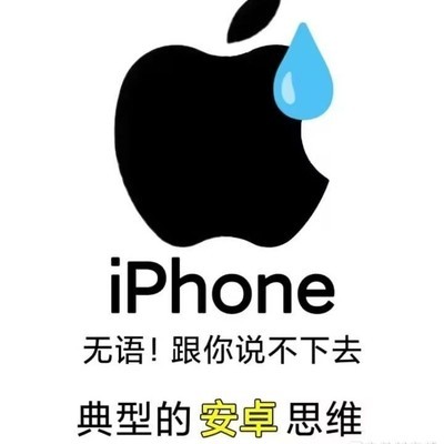 17p为何不推荐安克100W？