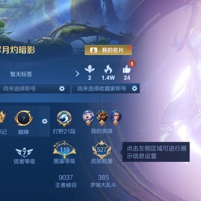 王者马年消费组队