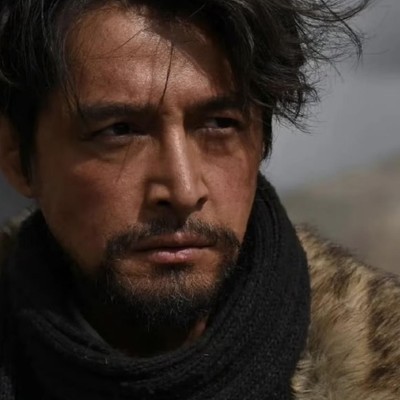 生命树社会生活观后感