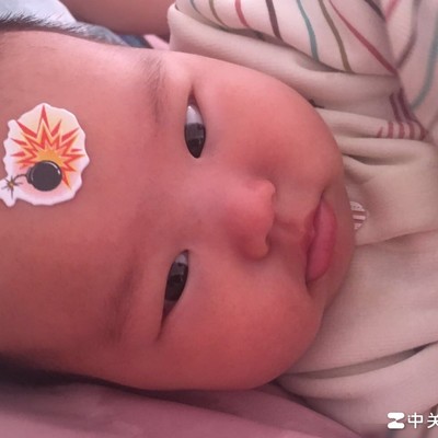 求助开30座以下大巴车的朋友
