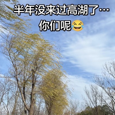半年未至高湖，你是否也怀念？