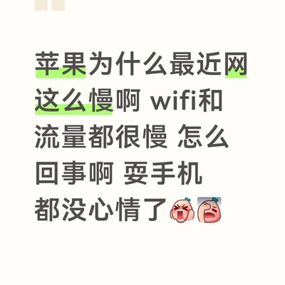 苹果网络变慢原因探查