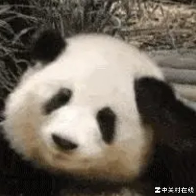 17shou！绝地求生你真的过了！