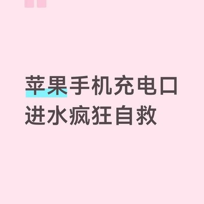 苹果手机充电口进水应急处理