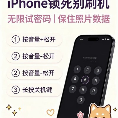 iPhone锁死后无限试密码