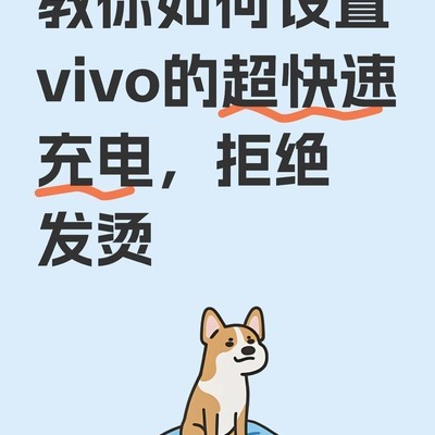 vivo超快充电设置指南