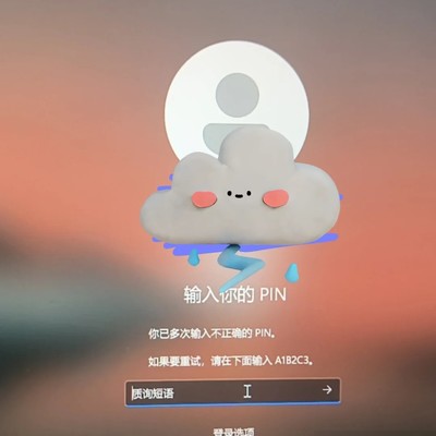 电脑开机忘PIN快速解锁法