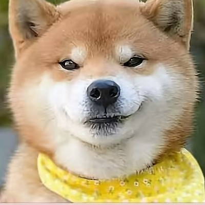 老詹离队，湖人被售是否反映商业信心不足？