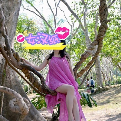 西双版纳，开拍！