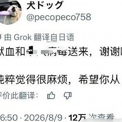 中国人赴日打工现状