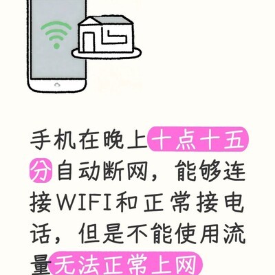 苹果手机夜间自动断网
