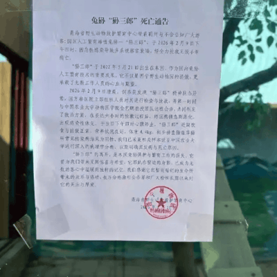 西宁野生动物园兔狲狲三郎不幸离世