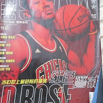 青春回忆，扣篮SLAM