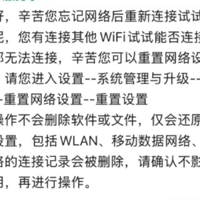 vivo手机网络IP分配异常