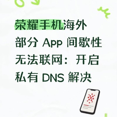 荣耀海外联网异常解决