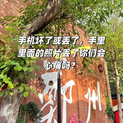 手机照片丢失怎么办