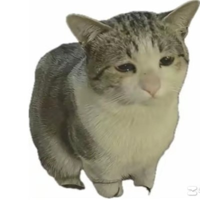 遭遇误解与恶意，如何理性发声