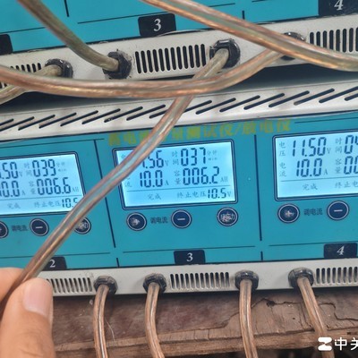 PDD百亿补贴新日电动车电池疑云