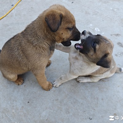 长辈混得差为何爱教做人？