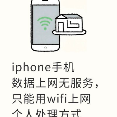 iPhone双卡无服务故障排查