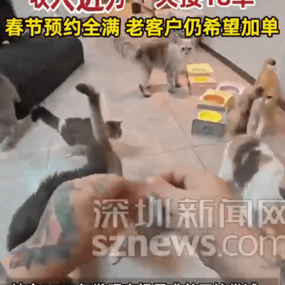 春节兼职喂猫遛狗，女大学生日入近万